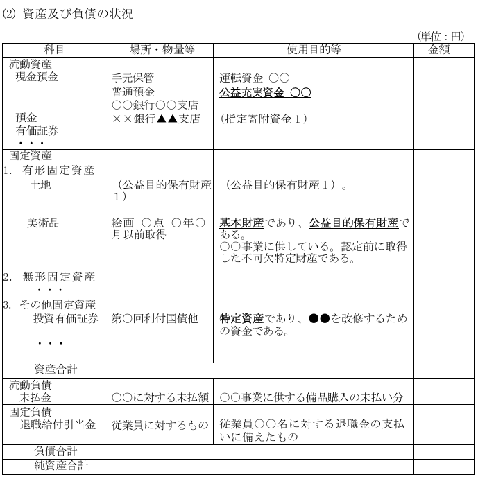 指定純資産、資産負債注記